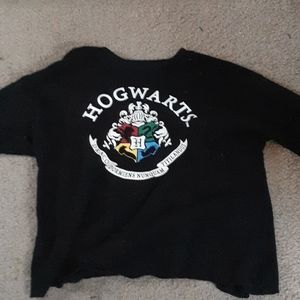 Harry Potter fan longsleve
